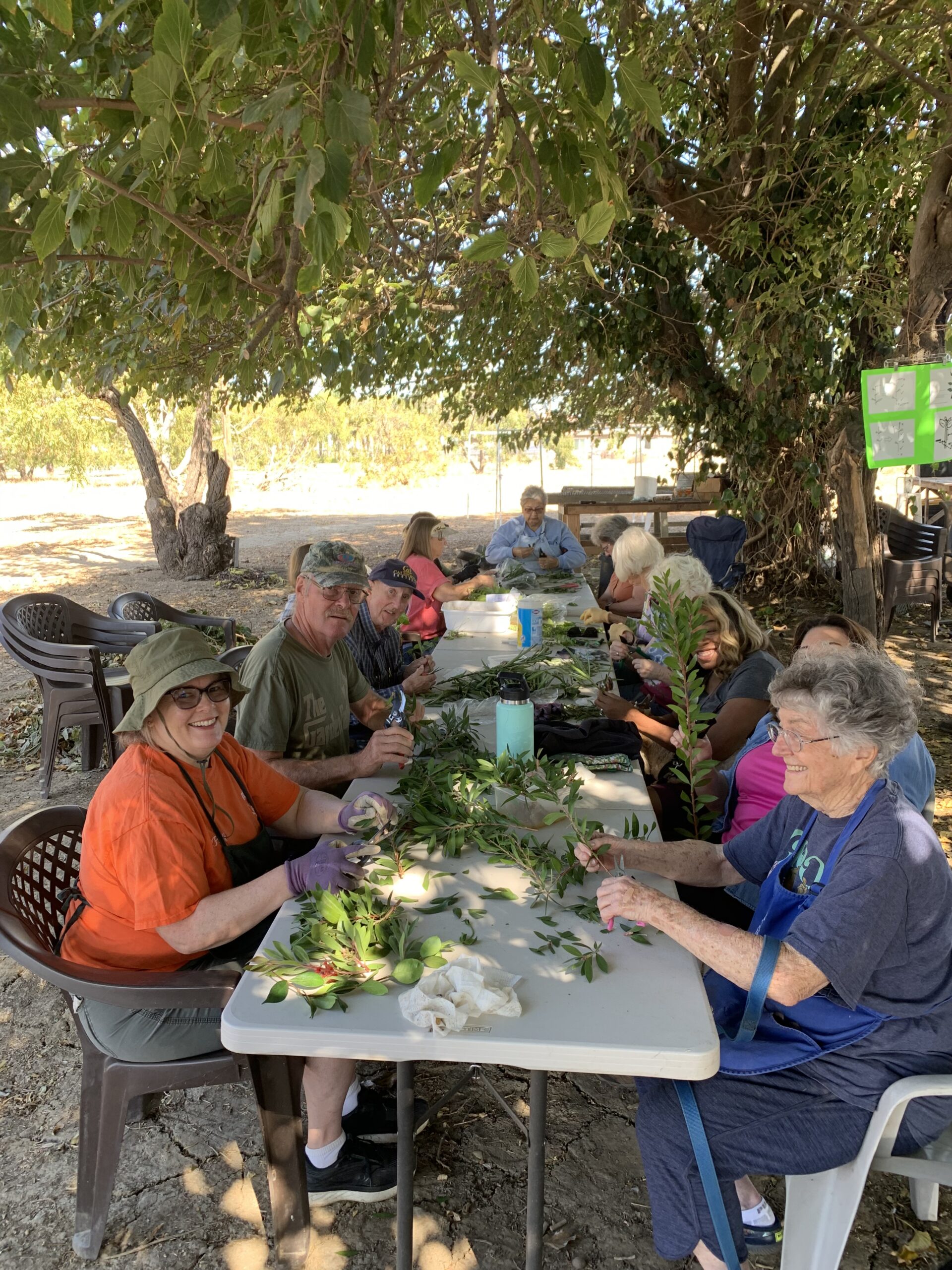 DIG members working together at a table preparing plant cuttings for the 2027 Plant Sale.